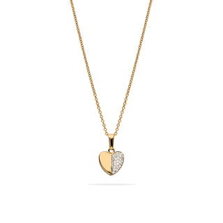 Collana Fabiani in argento con pendente cuore in oro giallo 18Kt - Fabiani Gioiellerie